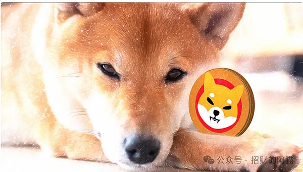 比特币为何逆势上扬？通胀背景下数字货币的韧性展现
