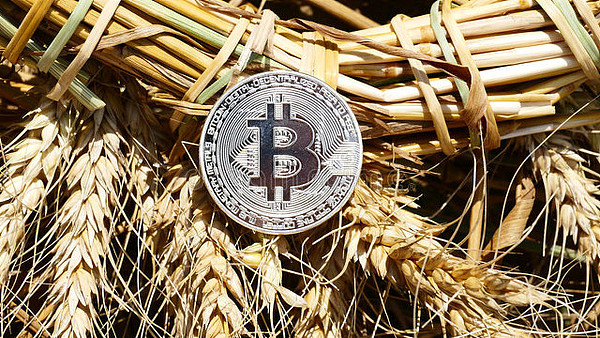 比特币生态的春天真的来了？深度解析五大关键赛道