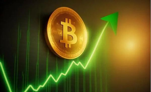 狗狗币的兄弟要起飞？Robinhood疯狂扫货35万亿SHIB引发市场震动