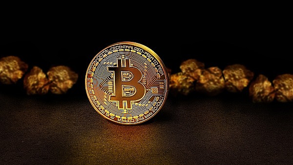 致学教育再创佳绩：荣获学历提升行业十大诚信品牌称号