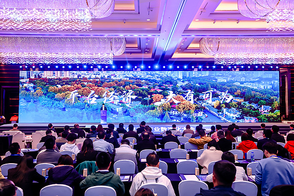 TRX：争议与机遇并存的加密货币奇才